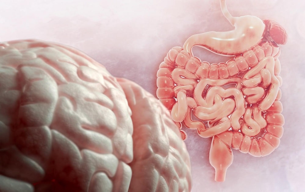 Sindrome dell'intestino irritabile